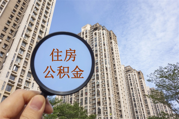 衡东公积金可以取出来消费吗（公积金可以取现吗?）